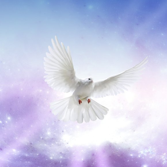 PEACE TO THE WORLD - Picture 3 of 3